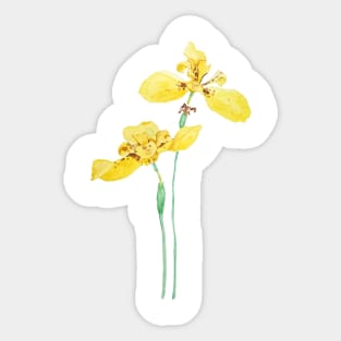 yellow iris flower watercolor Sticker